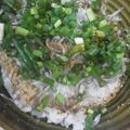 かいけんとう♪'s cooksnap of when they made のせるだけズボラ飯☆ネギじゃこご飯.