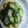 泉李♪'s cooksnap of when they made もずくの酢の物塩麹和え.