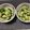 明日の風☆'s cooksnap of when they made きゅうりのさきいかあえ.