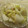 miyuki12's cooksnap of when they made セロリと紅しょうがの浅漬け.