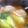kin0py's cooksnap of when they made ポカポカ温まる☆味噌キムチスープ.