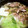 はるはる、ルルル's cooksnap of when they made あさりと豚バラのシンプル鍋・柚子胡椒添え.