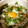 みかん由紀's cooksnap of when they made ◎とろろねぎたまごかけご飯◎.