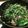 asukabany's cooksnap of when they made ご飯がすすむひき肉とニラの餃子風そぼろ.