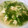 なおかっこ's cooksnap of when they made 水菜と卵の中華風スープ.