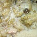 ほわまま's cooksnap of when they made 塩麹と味噌でヘルシー★豆乳シチュー★.