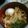 manatsu's cooksnap of when they made ずぼらな私の手打ちうどん.