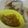 gumepoo's cooksnap of when they made 火を使わずお手軽 ◇ゆず味噌◇.