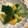 *けいこっこ*'s cooksnap of when they made めっちゃ簡単で失敗しないゆで卵の作り方.