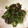 ルロワ・モワ's cooksnap of when they made ほうれん草の柚子わさび和え.