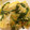 みじょーん's cooksnap of when they made 白菜とにらを卵とじ煮＾＾ｗ.
