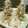 ポンママ☆'s cooksnap of when they made ★クッキーでクリスマスツリー★.