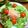 うめたむ's cooksnap of when they made 生ハムとクリームチーズの生春巻き.