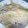 疾風隼's cooksnap of when they made ◎基本のつくり方♪豚のしょうが焼き.