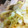 mugi66's cooksnap of when they made やわらかキャベツ♪豚のしょうが焼き.