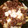 ○chiii○'s cooksnap of when they made 牛すき焼き風ささっと白菜鍋.