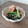 まめたん's cooksnap of when they made めんつゆ＋マヨほうれん草のおひたし.