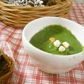 反省堂書店（のぐち）'s cooksnap of when they made ほうれん草と新玉ねぎで簡単なポタージュ.