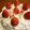 にきけん's cooksnap of when they made かんたんクリスマスケーキ.