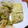 katachan's cooksnap of when they made 磯の香りの卵焼き.