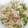 uthiyamada's cooksnap of when they made きのこの和風パスタ.