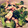 ゆったん＠3NEET's cooksnap of when they made ささみのパパッと酒蒸し中華風！.