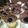 すずきゆう's cooksnap of when they made マシュマロココアマフィン.