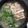 庵chai's cooksnap of when they made 鳥塩ラーメン.