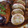 クックパパ's cooksnap of when they made イカめしのあとは！大根の煮物.