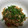 chopima's cooksnap of when they made ささみの塩麹漬けときのことトマトの炒め物.