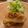 りんponpon's cooksnap of when they made クリスマス♪ハーブチキン.