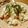 ふたごっち's cooksnap of when they made まぐろの手こね寿司.
