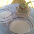 Ｙｕーｍｅｍａｍａ's cooksnap of when they made 砂糖ナシ　簡単ヘルシー豆乳ババロア.