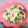 anjizi's cooksnap of when they made ☆カップスープの素で茶碗蒸しキッシュ☆.