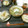 hiratika's cooksnap of when they made 白だし大根.