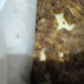 ぽんlove's cooksnap of when they made おからミートローフ.
