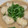 クックM96XDX☆'s cooksnap of when they made 煮っ転がさない♪里芋のゴマ味噌煮っ転がし.