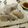 m@n@'s cooksnap of when they made 煮っ転がすのが面倒なときの里芋の食べ方.
