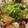 みちん☆'s cooksnap of when they made タコとエリンギのガーリックバター炒め♪.