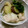 NａTｓｕ's cooksnap of when they made さつまいもと鶏肉の炊き合わせ.