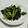 Mature1028's cooksnap of when they made 野菜だけの簡単美味☆小松菜ねぎ油塩炒め.