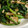 けろちゃん。's cooksnap of when they made ほうれん草とハムのオイマヨ.