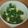 MULA's cooksnap of when they made ガーリック豆腐.