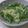 うきうさこ's cooksnap of when they made 新じゃがと水菜のシャキ②ヘルシー胡麻和え.