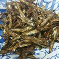 ゆりんこみるく's cooksnap of when they made 田作り.