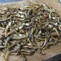 わんLove's cooksnap of when they made おせちに♪簡単！ごまめ（田作り）.