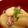 うめみん's cooksnap of when they made 花いかと大根の煮込み✿味噌風味.