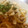 よもぎとヨーゼフ's cooksnap of when they made 簡単！焼きうどん ✨.