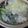 08261010's cooksnap of when they made 牡蠣と豆腐のヘルシー鍋.