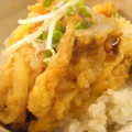 cocoりえ's cooksnap of when they made かき揚げ丼.